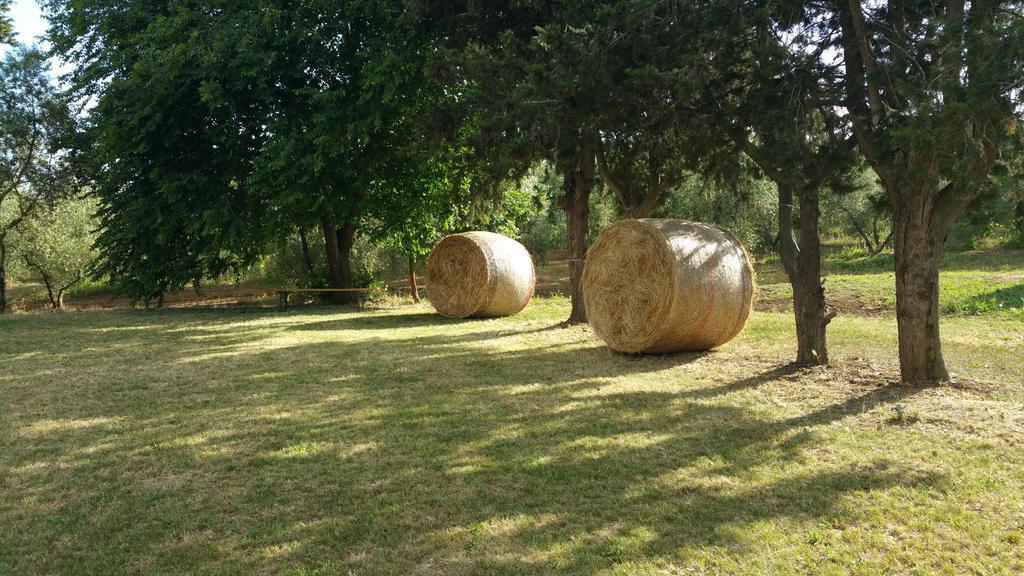 Agriturismo La Dolce Collina Villa Follonica Dış mekan fotoğraf